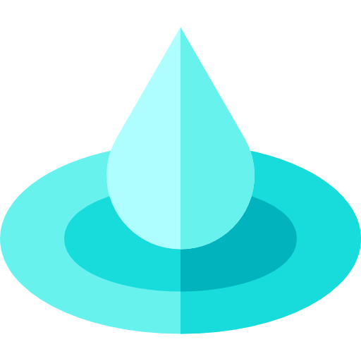 Precipitation Data